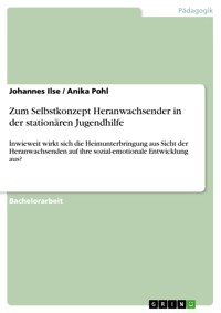 Zum Selbstkonzept Heranwachsender in der stationären Jugendhilfe - Johannes Ilse - E-Book