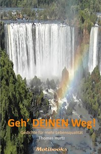 Geh' Deinen Weg - Thomas Hurtz - E-Book