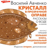 Кристалл в прозрачной оправе. Рассказы о воде и камнях - Василий Авченко - Hörbuch