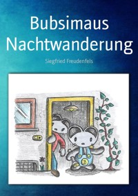 Bubsimaus Nachtwanderung - Siegfried Freudenfels - E-Book