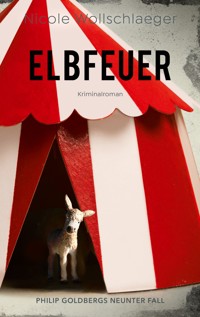 Elbfeuer - Nicole Wollschlaeger - E-Book + Hörbuch