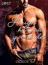 Deseos 6: Amigos horizontales y verticales - Malva B. - E-Book