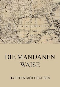 Die Mandanenwaise - Balduin Möllhausen - E-Book