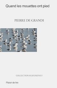 Quand les mouettes ont pied - Pierre De Grandi - E-Book