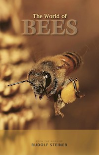 The World of Bees - Rudolf Steiner - E-Book