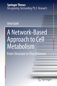 A Network-Based Approach to Cell Metabolism - Oriol Güell - E-Book