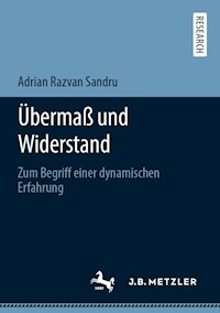 Übermaß und Widerstand - Adrian Razvan Sandru - E-Book
