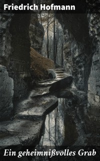 Ein geheimnißvolles Grab - Friedrich Hofmann - E-Book