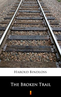 The Broken Trail - Harold Bindloss - E-Book