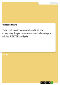 External environmental audit in the company. Implementation and advantages of the PESTLE analysis - Vincent Ntaro - E-Book