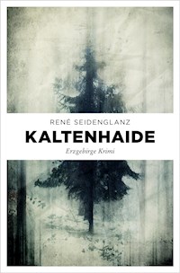 Kaltenhaide - René Seidenglanz - E-Book