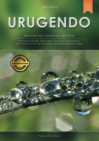 Urugendo - Dem Sinn des Lebens auf der Spur - Jack Boltz - E-Book