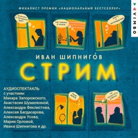 Стрим - Иван Шипнигов - Hörbuch