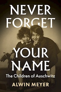 Never Forget Your Name - Alwin Meyer - E-Book