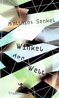 Winkel der Welt - Matthias Senkel - E-Book