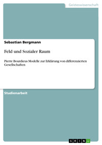 Feld und Sozialer Raum - Sebastian Bergmann - E-Book