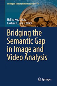 Bridging the Semantic Gap in Image and Video Analysis - - E-Book