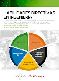 Habilidades directivas en ingeniería - David Moisés Terán Pérez - E-Book