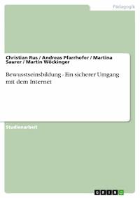 Bewusstseinsbildung - Ein sicherer Umgang mit dem Internet - Christian Rus - E-Book