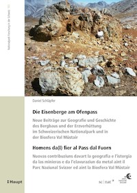 Die Eisenberge am Ofenpass - Homens da(l) fier al Pass dal Fuorn - Daniel Schläpfer - E-Book
