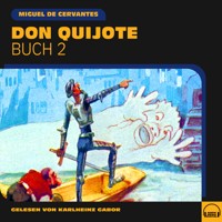 Don Quijote (Buch 2) - Miguel de Cervantes - Hörbuch