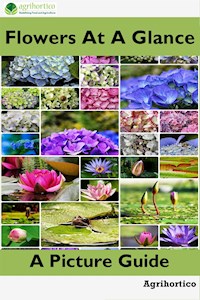 Flowers at a Glance - Agrihortico CPL - E-Book