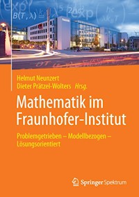 Mathematik im Fraunhofer-Institut -  - E-Book