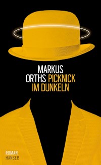 Picknick im Dunkeln - Markus Orths - E-Book
