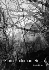 Eine sonderbare Reise - Irene Rickert - E-Book