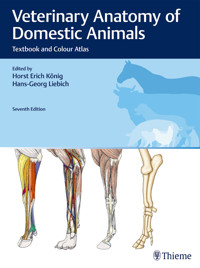 Veterinary Anatomy of Domestic Animals - - E-Book