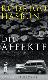 Die Affekte - Rodrigo Hasbún - E-Book
