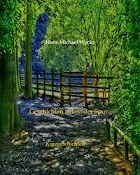 Geschichten neben der Spur - Hans-Michael Wecks - E-Book