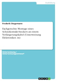 Fachgerechte Montage eines Schutzkontakt-Steckers an einem Verlängerungskabel (Unterweisung Elektroniker, -in) - Frederik Stegemann - E-Book
