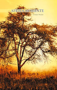 Afrika Momente - Evelyn Weyhe - E-Book
