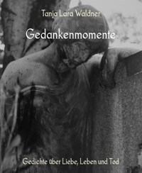 Gedankenmomente - Tanja Lara Waldner - E-Book