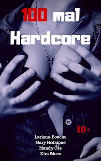 100 mal Hardcore - Lariana Bouche - E-Book