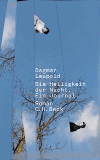Die Helligkeit der Nacht - Dagmar Leupold - E-Book