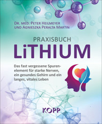 Praxisbuch Lithium - Peter Heilmeyer - E-Book
