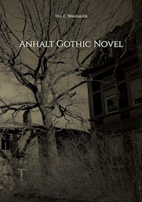 Anhalt Gothic Novel - Till C. Waldauer - E-Book