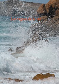 Les vagues de la vie - Jean-Pierre Beaujean - E-Book