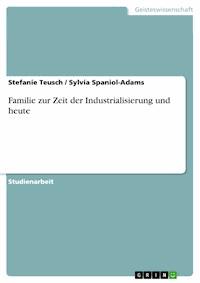 Familie zur Zeit der Industrialisierung und heute - Stefanie Teusch - E-Book
