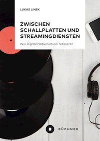 Zwischen Schallplatten und Streamingdiensten - Lukas Linek - E-Book