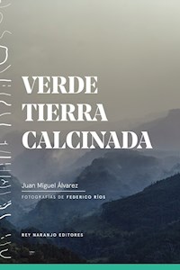 Verde tierra calcinada - Juan Miguel Álvarez - E-Book