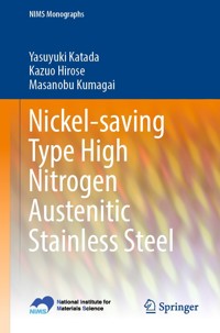 Nickel-saving Type High Nitrogen Austenitic Stainless Steel - Yasuyuki Katada - E-Book