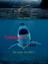 Todeskampf im Indik - Harri Anholt - E-Book