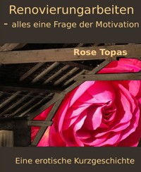 Renovierungsarbeiten - alles eine Frage der Motivation - Rose Topas - E-Book