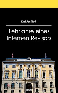 Lehrjahre eines Internen Revisors - Karl Seyfried - E-Book