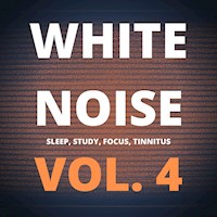 White Noise (Vol. 4) - White Noise Laboratory - Hörbuch