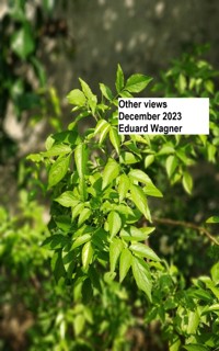 Other views December 2023 - Eduard Wagner - E-Book