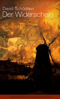 Der Widerschein - David Schönherr - E-Book